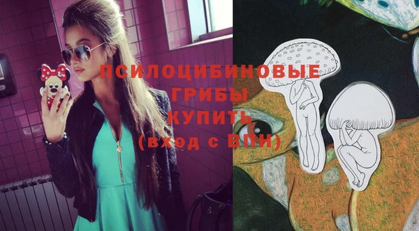 герыч Алзамай