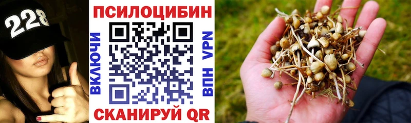 Псилоцибиновые грибы прущие грибы  Боровск 